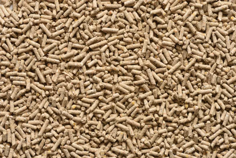 Aliment Complet Poules Pondeuses en Granules (25 kg)
